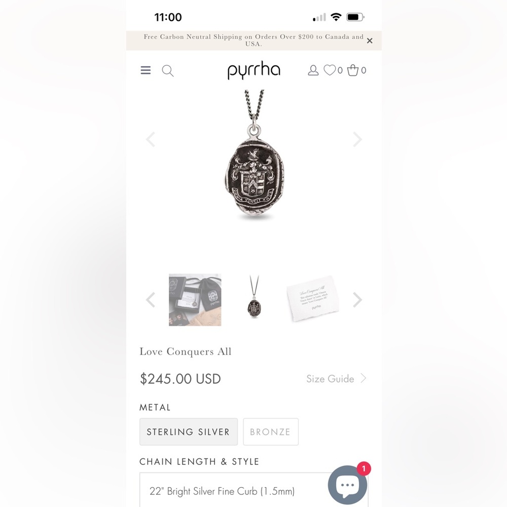 Pyrrha talisman and chain.
